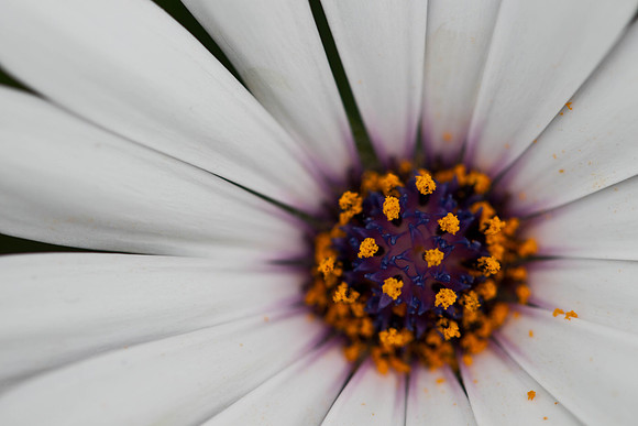 PhotoFortyTwo-2
