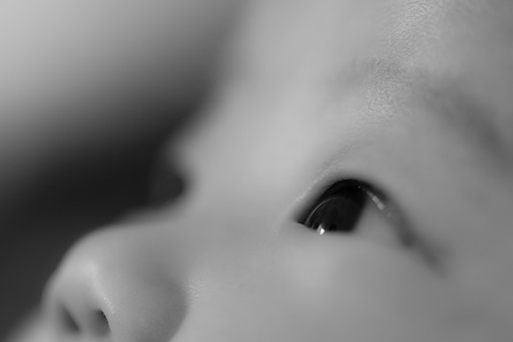 Portfolio Shots-2742