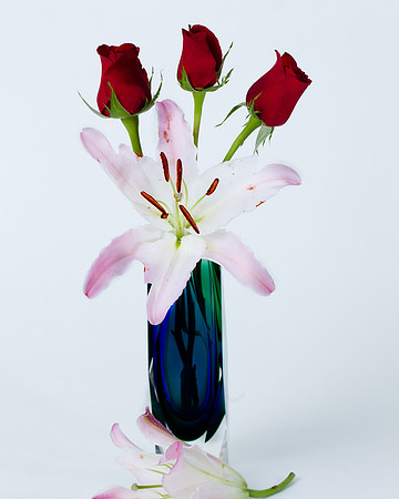 Flower in Studio-4196