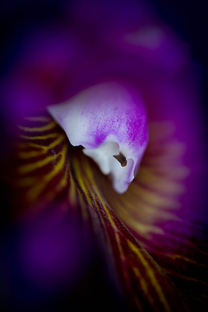 PhotoFortyTwo-3