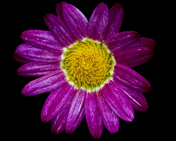 PhotoFortyTwo-3