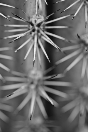 PhotoFortyTwo