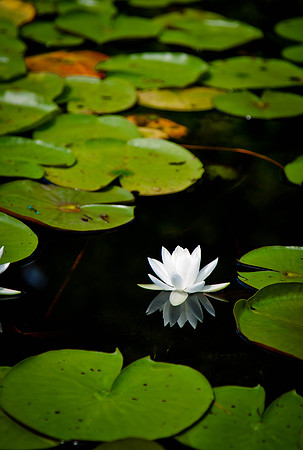 PhotoFortyTwo-2
