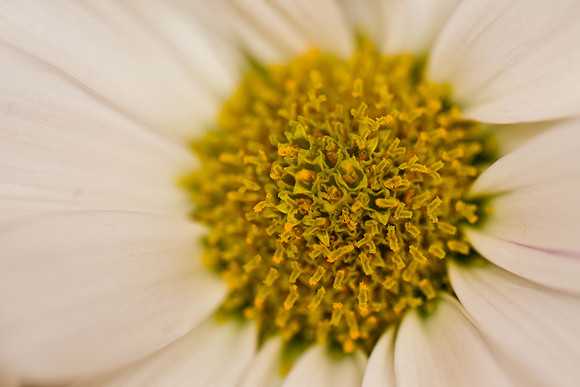 PhotoFortyTwo-5
